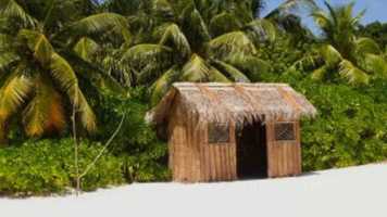 Free download Little Shack By The Sea Sample Trailer video and edit with RedcoolMedia movie maker MovieStudio video editor online and AudioStudio audio editor onlin