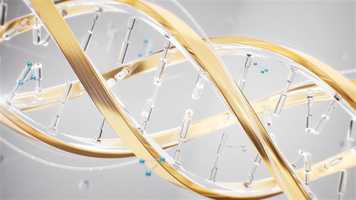 Free download Live Action Medical Opener video and edit with RedcoolMedia movie maker MovieStudio video editor online and AudioStudio audio editor onlin