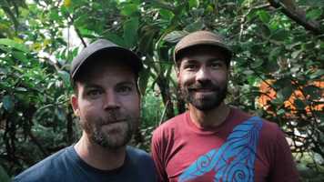 Free download Live The Sweet Life! | Bee Boys video and edit with RedcoolMedia movie maker MovieStudio video editor online and AudioStudio audio editor onlin