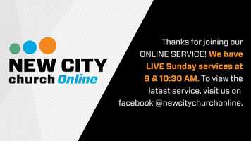 Free download Live Video Promo video and edit with RedcoolMedia movie maker MovieStudio video editor online and AudioStudio audio editor onlin