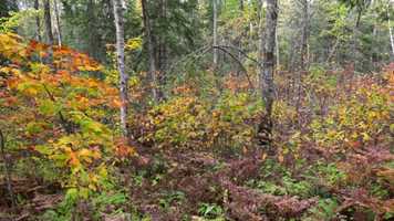 Free download Live Wide Open in Frazee video and edit with RedcoolMedia movie maker MovieStudio video editor online and AudioStudio audio editor onlin