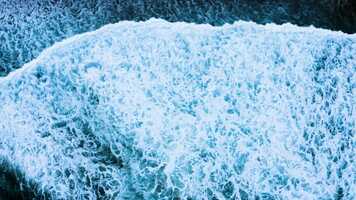 Free download LivingBach_Trailer_EN.mp4 video and edit with RedcoolMedia movie maker MovieStudio video editor online and AudioStudio audio editor onlin