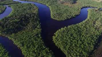 Free download Living in Brazil by H. Lynn Beck - 90 sec video and edit with RedcoolMedia movie maker MovieStudio video editor online and AudioStudio audio editor onlin