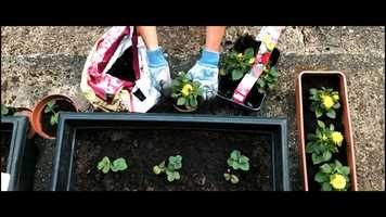 Free download Living in Lockdown - Tendayi Karl Mutongerwa video and edit with RedcoolMedia movie maker MovieStudio video editor online and AudioStudio audio editor onlin