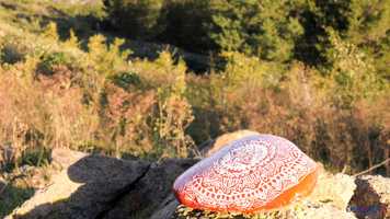 Free download Living Room Learning video and edit with RedcoolMedia movie maker MovieStudio video editor online and AudioStudio audio editor onlin