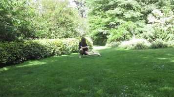 Free download Llareta test 2 video and edit with RedcoolMedia movie maker MovieStudio video editor online and AudioStudio audio editor onlin