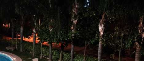 Free download LMSL NGH video and edit with RedcoolMedia movie maker MovieStudio video editor online and AudioStudio audio editor onlin