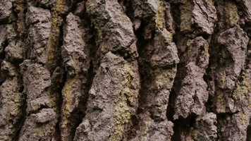 Free download lockdown landscapes video and edit with RedcoolMedia movie maker MovieStudio video editor online and AudioStudio audio editor onlin