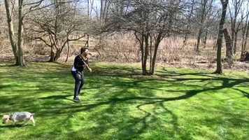 Free download Lockdown Tennis S1E2 video and edit with RedcoolMedia movie maker MovieStudio video editor online and AudioStudio audio editor onlin