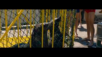Free download L ODYSEE - TRAILER video and edit with RedcoolMedia movie maker MovieStudio video editor online and AudioStudio audio editor onlin