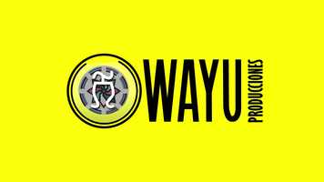 Free download LOGO ANIMADO PRODUCCIONES WAYU video and edit with RedcoolMedia movie maker MovieStudio video editor online and AudioStudio audio editor onlin