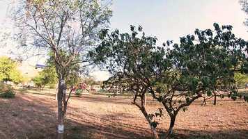 Free download Lo hermoso de un parque - Short Film video and edit with RedcoolMedia movie maker MovieStudio video editor online and AudioStudio audio editor onlin