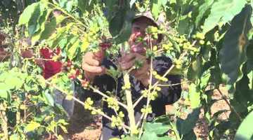 Free download long coffeeMovie video and edit with RedcoolMedia movie maker MovieStudio video editor online and AudioStudio audio editor onlin