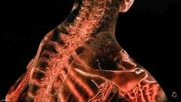 Free download Longevity - The Networks within our body video and edit with RedcoolMedia movie maker MovieStudio video editor online and AudioStudio audio editor onlin