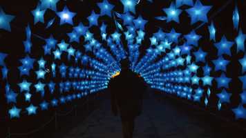 Free download Longleat Festival of Light // Z Cam E2 // 4K 50fps video and edit with RedcoolMedia movie maker MovieStudio video editor online and AudioStudio audio editor onlin