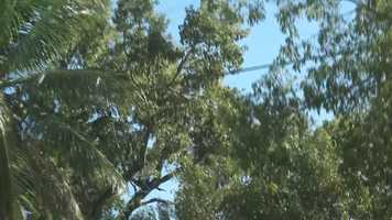 Free download Looking Up - A Sound Film video and edit with RedcoolMedia movie maker MovieStudio video editor online and AudioStudio audio editor onlin