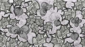 Free download Los habitantes del Acebo (animatic) video and edit with RedcoolMedia movie maker MovieStudio video editor online and AudioStudio audio editor onlin