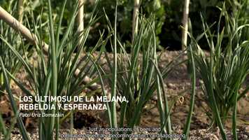 Free download Los ltimos de la Mejana, rebelda y esperanza - CINEMA COCINA video and edit with RedcoolMedia movie maker MovieStudio video editor online and AudioStudio audio editor onlin