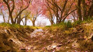 Free download Los Luceros Historic Site video and edit with RedcoolMedia movie maker MovieStudio video editor online and AudioStudio audio editor onlin