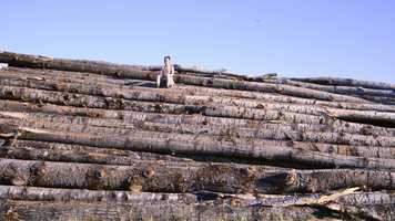 Free download Lost 40: movement research i video and edit with RedcoolMedia movie maker MovieStudio video editor online and AudioStudio audio editor onlin