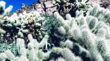 Free download lost goldmine trail video and edit with RedcoolMedia movie maker MovieStudio video editor online and AudioStudio audio editor onlin