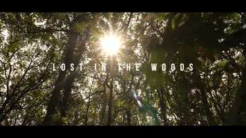 Free download lost in the woods video and edit with RedcoolMedia movie maker MovieStudio video editor online and AudioStudio audio editor onlin