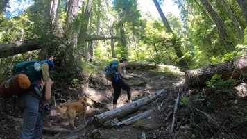 Free download Lost Lake video and edit with RedcoolMedia movie maker MovieStudio video editor online and AudioStudio audio editor onlin