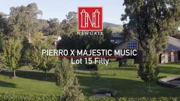 Free download Lot 15 Pierro x Majestic Music Filly video and edit with RedcoolMedia movie maker MovieStudio video editor online and AudioStudio audio editor onlin