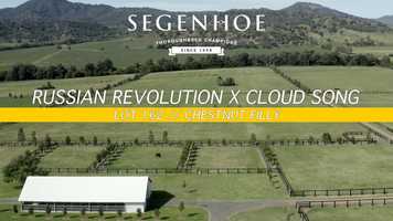 Free download Lot 162 Russian Revolution x Cloud Song filly video and edit with RedcoolMedia movie maker MovieStudio video editor online and AudioStudio audio editor onlin