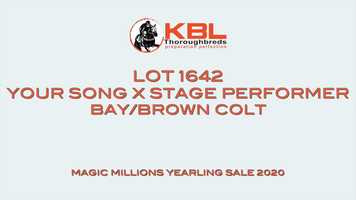 Free download Lot 1642 Your Song x Stage Performer colt video and edit with RedcoolMedia movie maker MovieStudio video editor online and AudioStudio audio editor onlin
