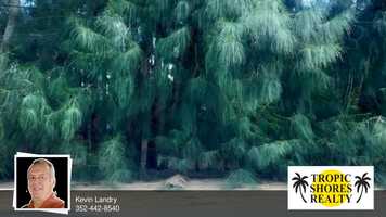 Free download Lot 94 Seaview Boulevard Hudson, FL 34667 video and edit with RedcoolMedia movie maker MovieStudio video editor online and AudioStudio audio editor onlin