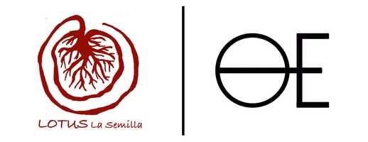 Free download lotus_lasemilla_trailer video and edit with RedcoolMedia movie maker MovieStudio video editor online and AudioStudio audio editor onlin