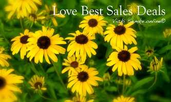 Free download +Love Cool *Tech, Fun World _Shopping   Best Online Shows! Our Worlds Share the Love Vicki Semke.community  video and edit with RedcoolMedia movie maker MovieStudio video editor online and AudioStudio audio editor onlin