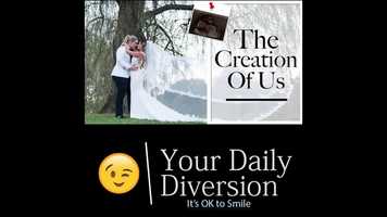 Free download Love Is Love is Love... Here Comes Baby! - Your Daily Diversion video and edit with RedcoolMedia movie maker MovieStudio video editor online and AudioStudio audio editor onlin