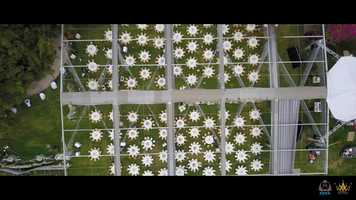 Free download Love Story video and edit with RedcoolMedia movie maker MovieStudio video editor online and AudioStudio audio editor onlin