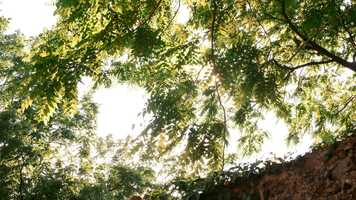 Free download Lovewell Trailer video and edit with RedcoolMedia movie maker MovieStudio video editor online and AudioStudio audio editor onlin