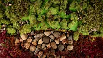 Free download LovingMemory_SF.mp4 video and edit with RedcoolMedia movie maker MovieStudio video editor online and AudioStudio audio editor onlin