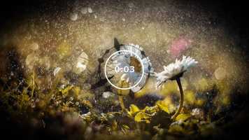 Free download Loving Tenderness - Background Music video and edit with RedcoolMedia movie maker MovieStudio video editor online and AudioStudio audio editor onlin