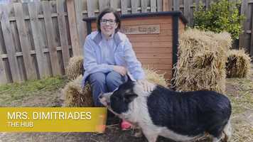 Free download Lower School Distance Learning Welcome Back video and edit with RedcoolMedia movie maker MovieStudio video editor online and AudioStudio audio editor onlin