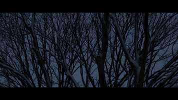 Free download LS Directors Cut ALT MUSIC OPEN video and edit with RedcoolMedia movie maker MovieStudio video editor online and AudioStudio audio editor onlin