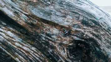 Free download Lucila video and edit with RedcoolMedia movie maker MovieStudio video editor online and AudioStudio audio editor onlin