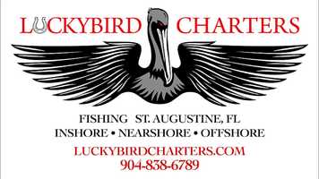 Free download LUCKYBIRD CHARTERS - CAPT. ROBERT HOLMQUIST video and edit with RedcoolMedia movie maker MovieStudio video editor online and AudioStudio audio editor onlin