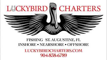 Free download LUCKYBIRD CHARTERS - CAPT. STEPHEN SZCZEPANIK video and edit with RedcoolMedia movie maker MovieStudio video editor online and AudioStudio audio editor onlin