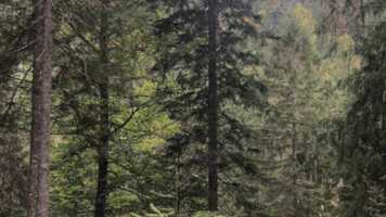 Free download Ludovico Einaudi_1920x1080 trailer 30s_no date video and edit with RedcoolMedia movie maker MovieStudio video editor online and AudioStudio audio editor onlin