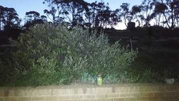 Free download Lume Cube video and edit with RedcoolMedia movie maker MovieStudio video editor online and AudioStudio audio editor onlin