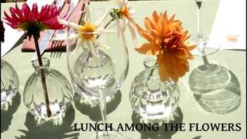 Free download Lunch among the flowers - Event Videography video and edit with RedcoolMedia movie maker MovieStudio video editor online and AudioStudio audio editor onlin
