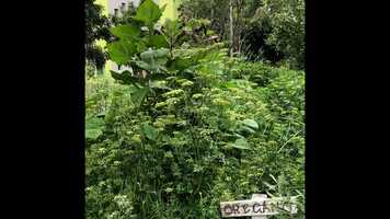 Free download Lunchbreak movie video and edit with RedcoolMedia movie maker MovieStudio video editor online and AudioStudio audio editor onlin