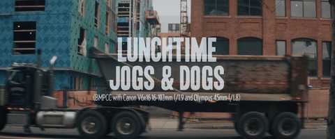Free download Lunchtime Jogs  Dogs (HD) video and edit with RedcoolMedia movie maker MovieStudio video editor online and AudioStudio audio editor onlin
