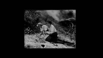 Free download Luwei Yang -P3 PublicDomain Trailer video and edit with RedcoolMedia movie maker MovieStudio video editor online and AudioStudio audio editor onlin