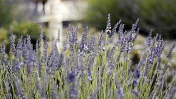 Free download Lynn Grove - Enrollment Video video and edit with RedcoolMedia movie maker MovieStudio video editor online and AudioStudio audio editor onlin